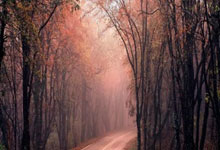 88体育官网:10人皇马逆转胜巴伦西亚 登顶西甲榜首.