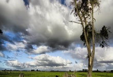 88体育官网：[NBA]直面萨博尼斯 戴维斯低位单打拿下两分.