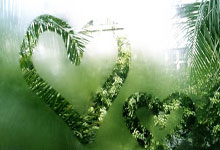 里程碑,德利赫特完成荷兰国家队生涯第50次出场.