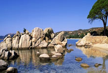 88体育官网:(哈尔滨亚冬会)中国体育代表团成立 谷爱凌等冬奥冠军出征中国新闻网.